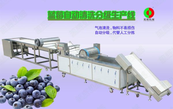 周口蓝莓/蔬果全自动清洗分级生产线